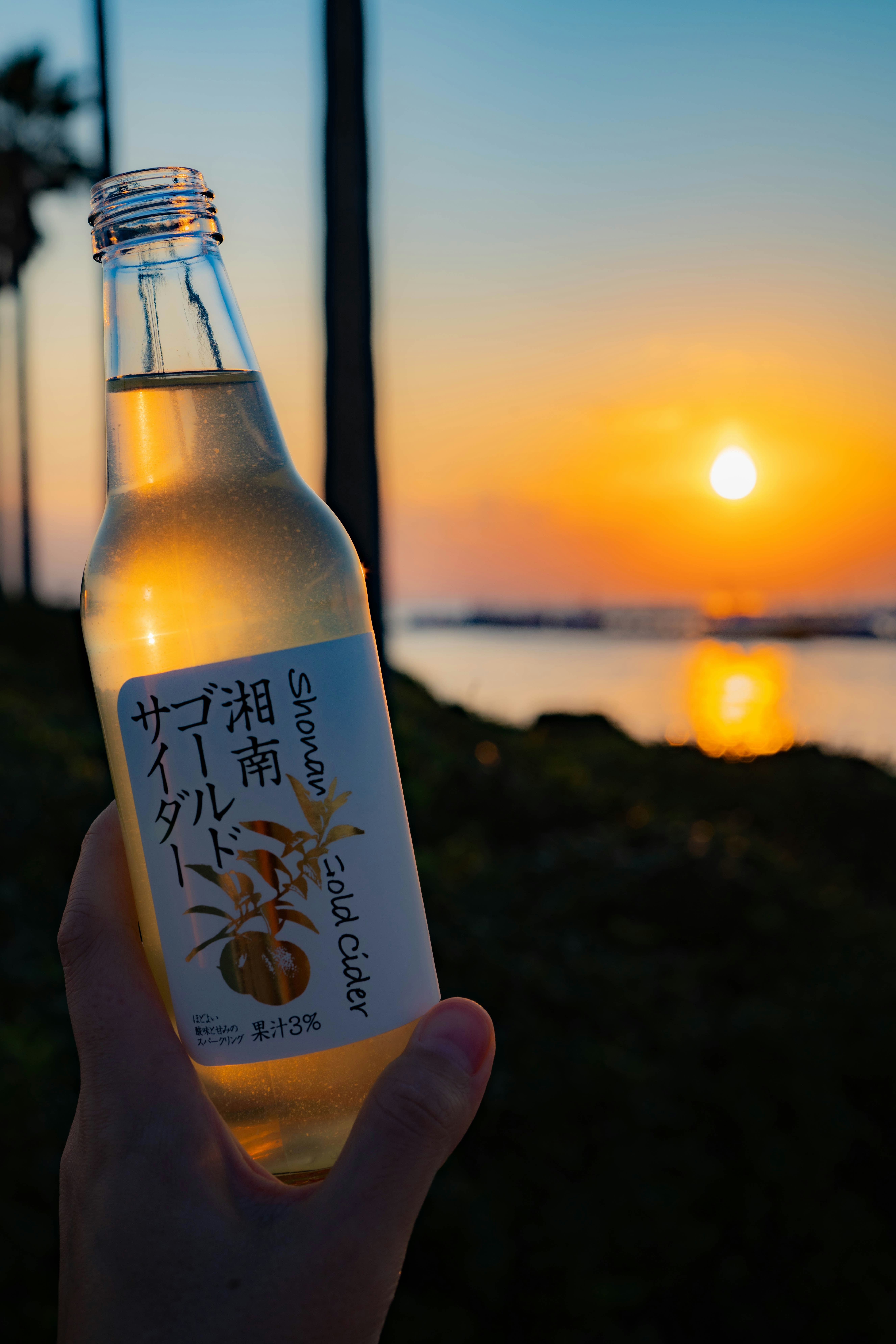 Craft Hard Cider and Wine