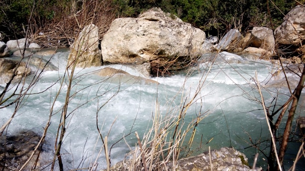 A stream flowing with clear, turbulent water surrounded by large rocks and plant life. The water rushes past rocky terrain, and bare branches are visible in the foreground. The lush greenery forms a backdrop, suggesting a natural, untouched location.