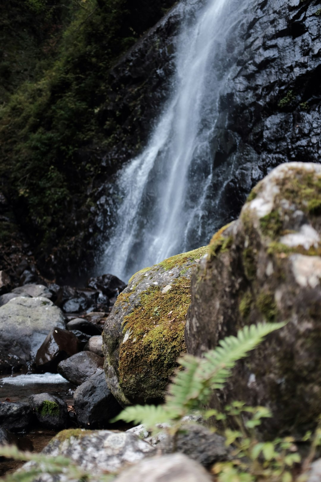 waterfalls during daytime