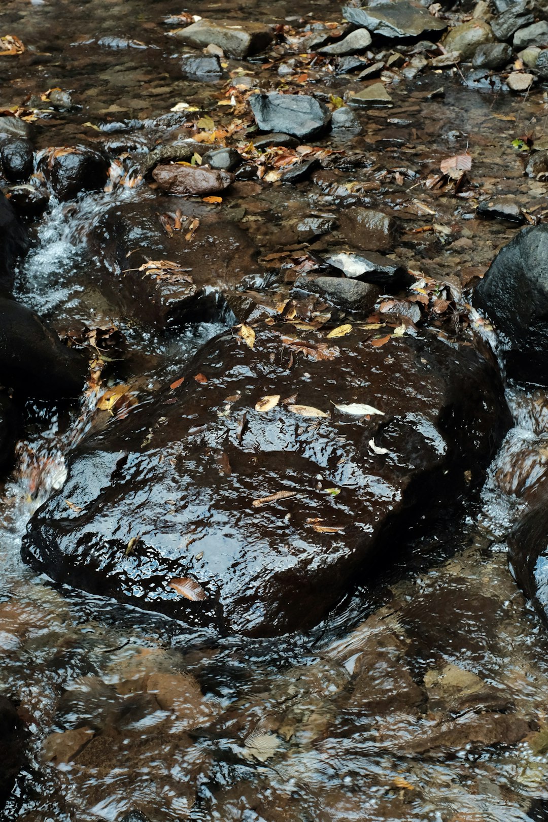 rocks in water