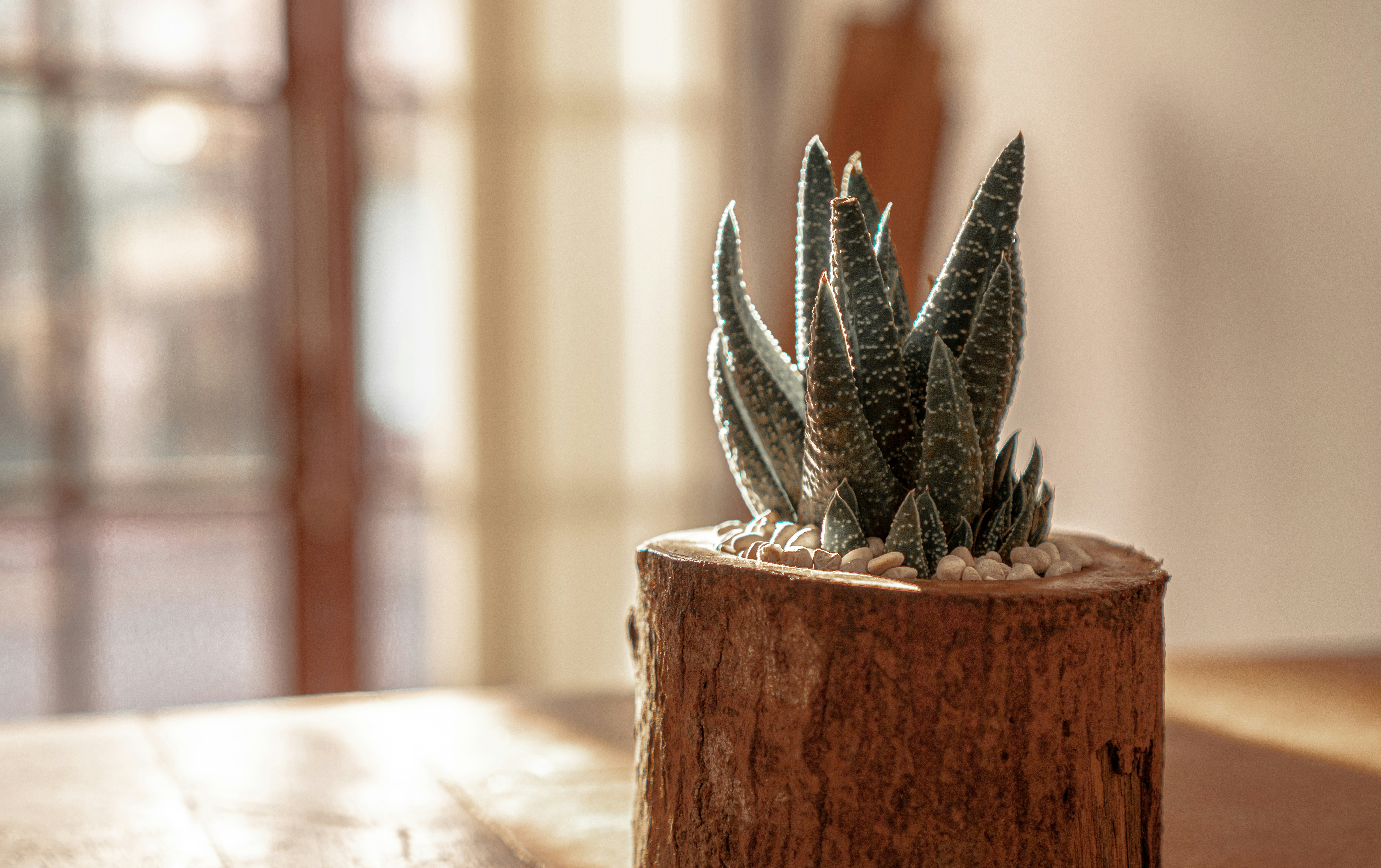 Photo by kadeksutawa