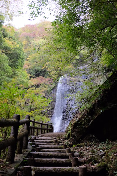 Shiraino Waterfalls - Japan