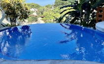 A tranquil infinity pool reflects the vibrant blue sky. Surrounding the pool, lush tropical greenery and trees create a serene and refreshing atmosphere. The backdrop features a few buildings nestled among the foliage, enhancing the scenic view.