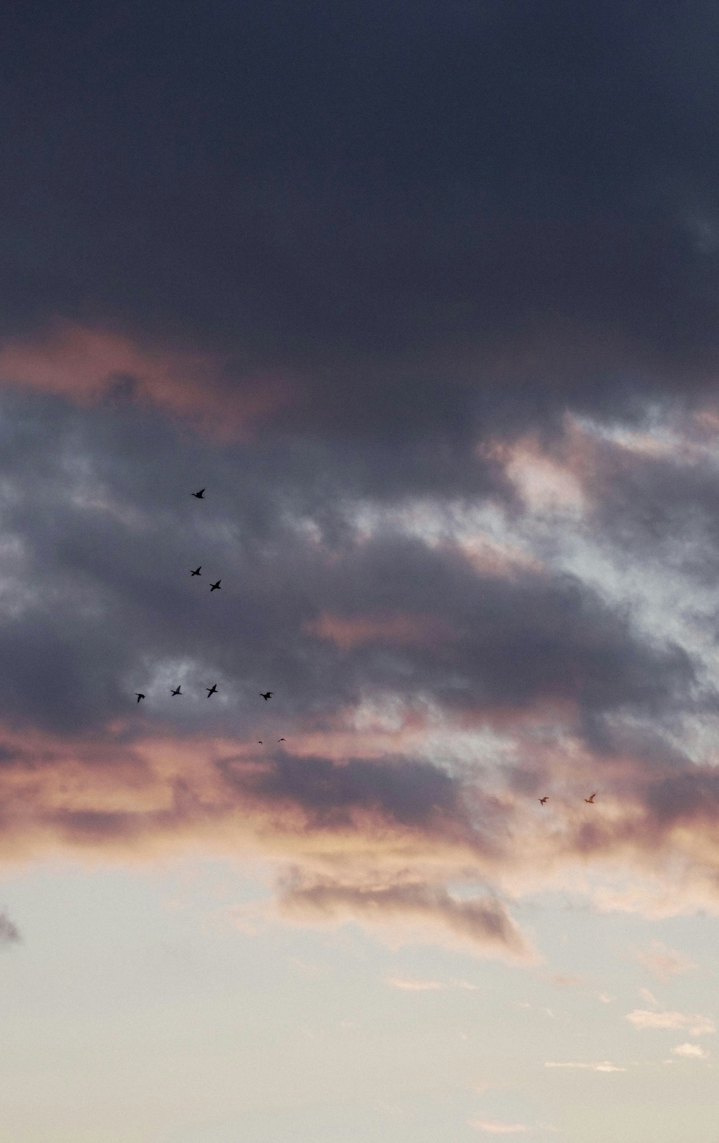 Photo by eternalseconds