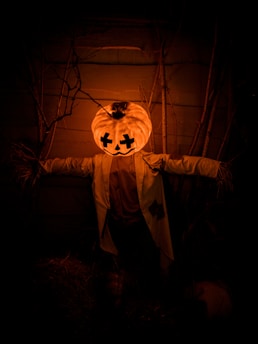pumpkin -head Scarecrow decor