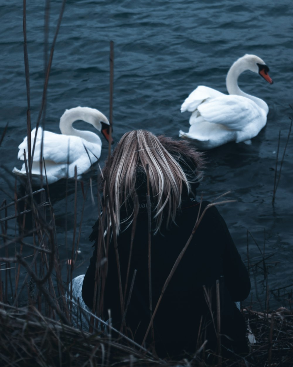 woman wearing black jacket beside white swan