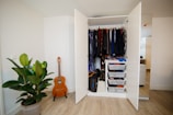 hanged assorted-colored clothes in white cabinet