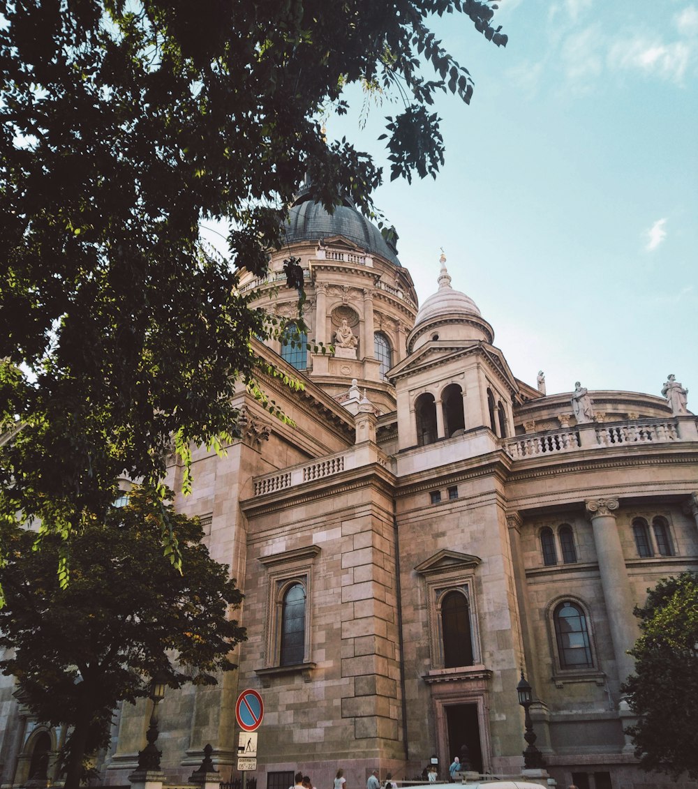 selective focus photography of brown concrete building