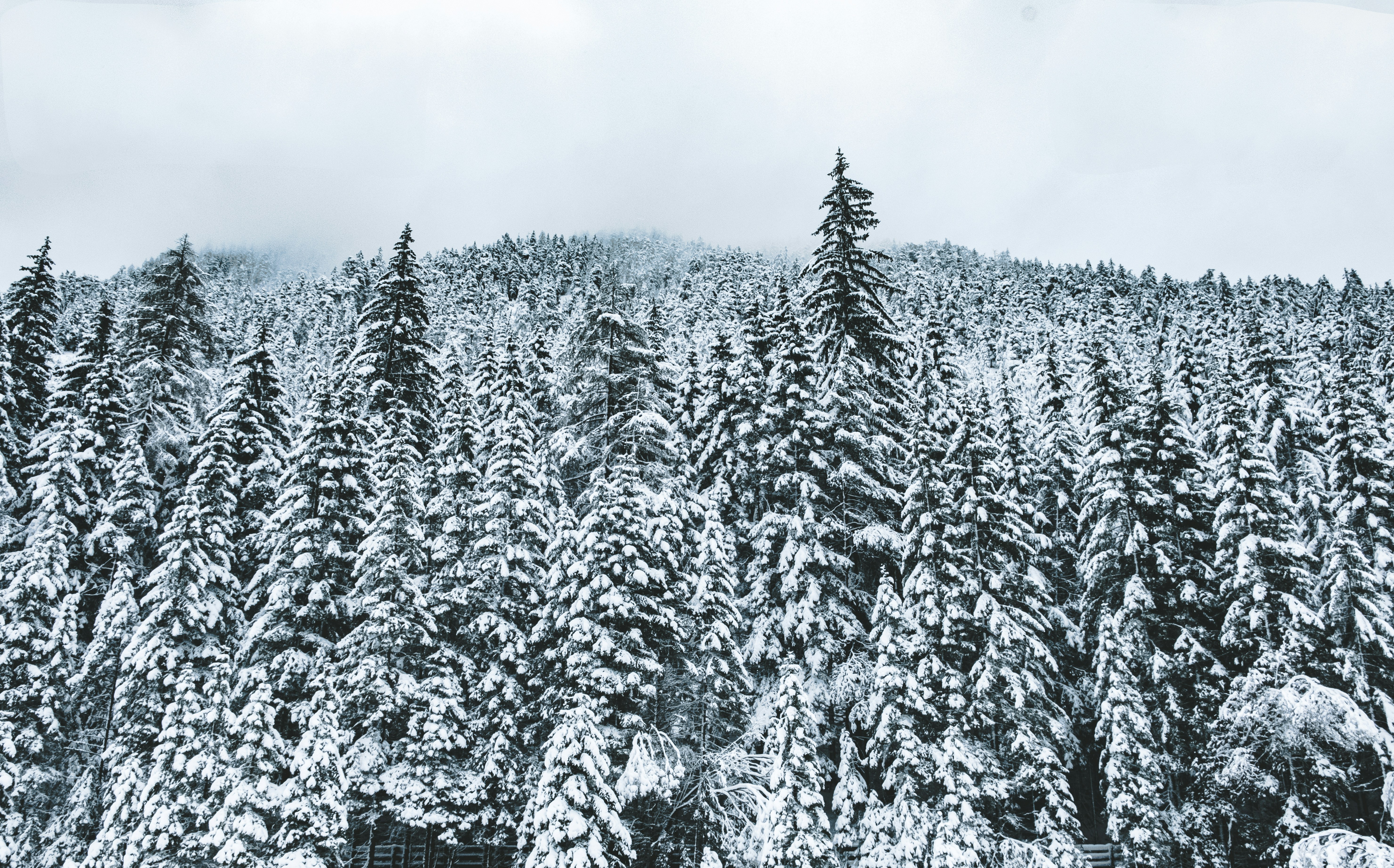 Photo by daniele_franchi