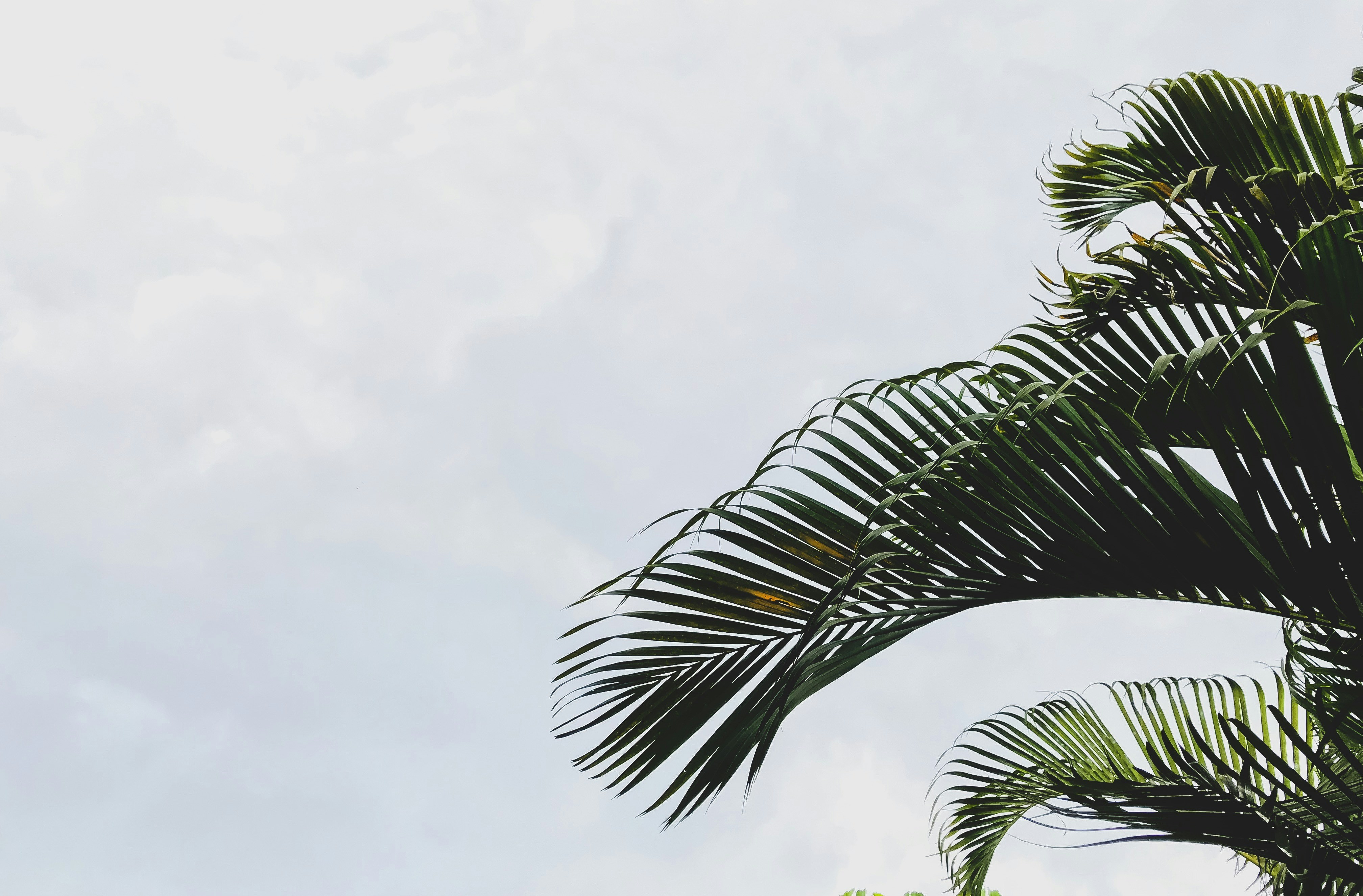 Photo by arptrastogi