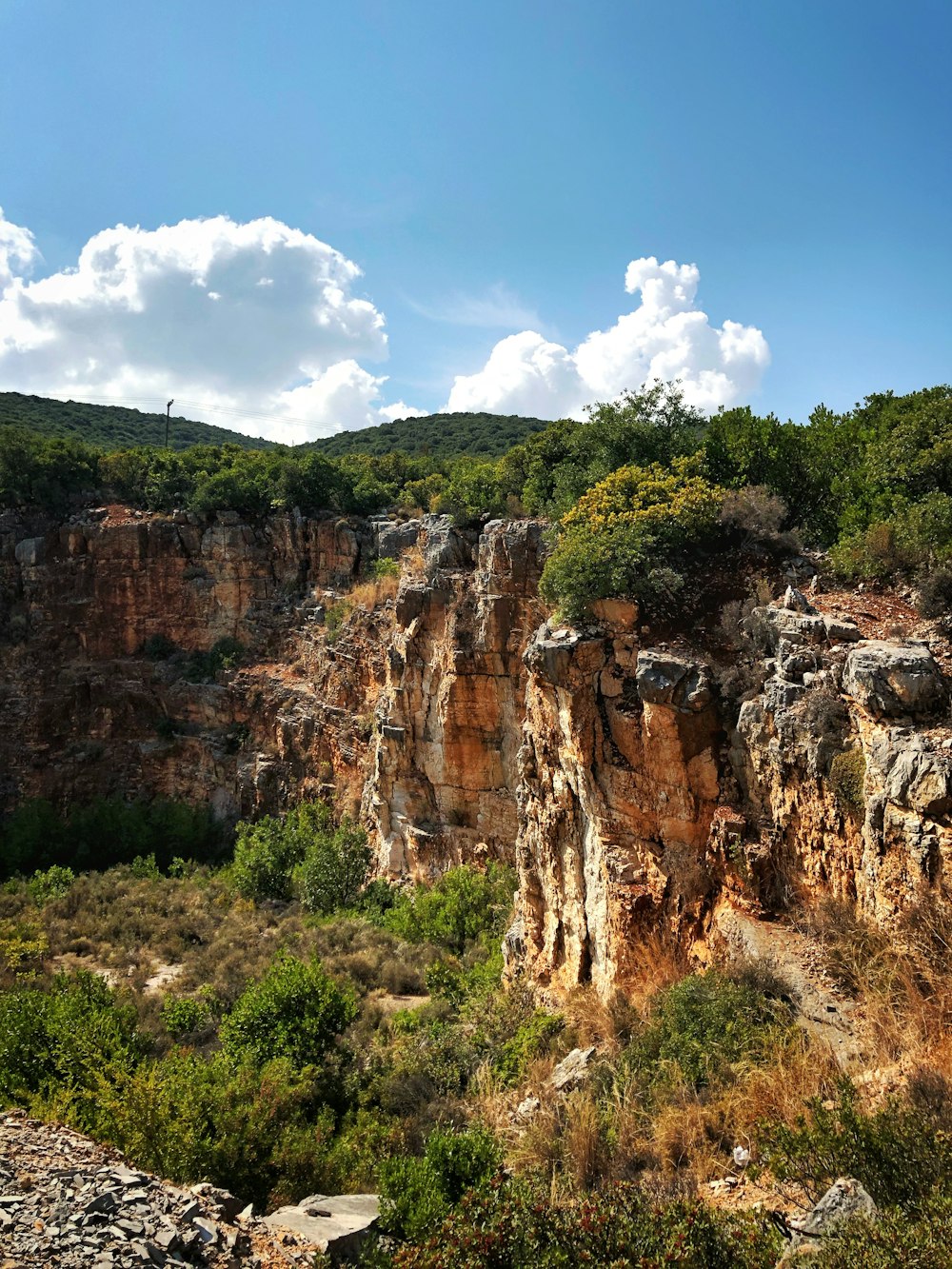 rock formation with green vegetation during cloudy day