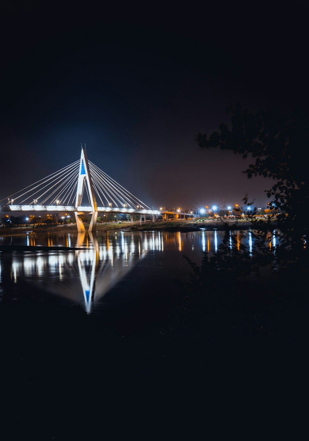 body of water under bridge near city at night