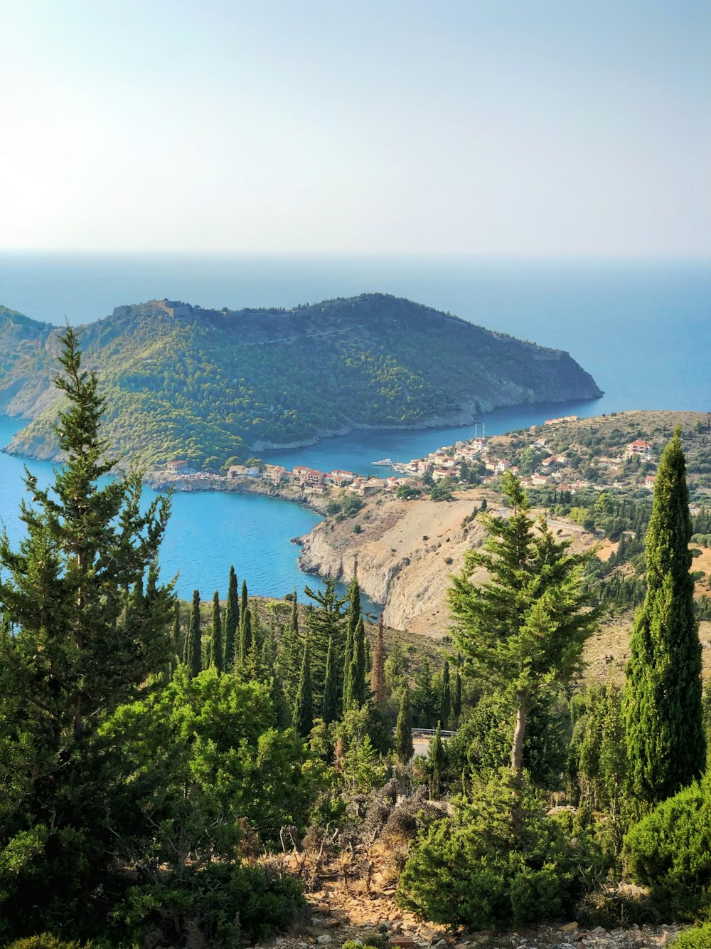 aerial view of trees near sea water during daytime