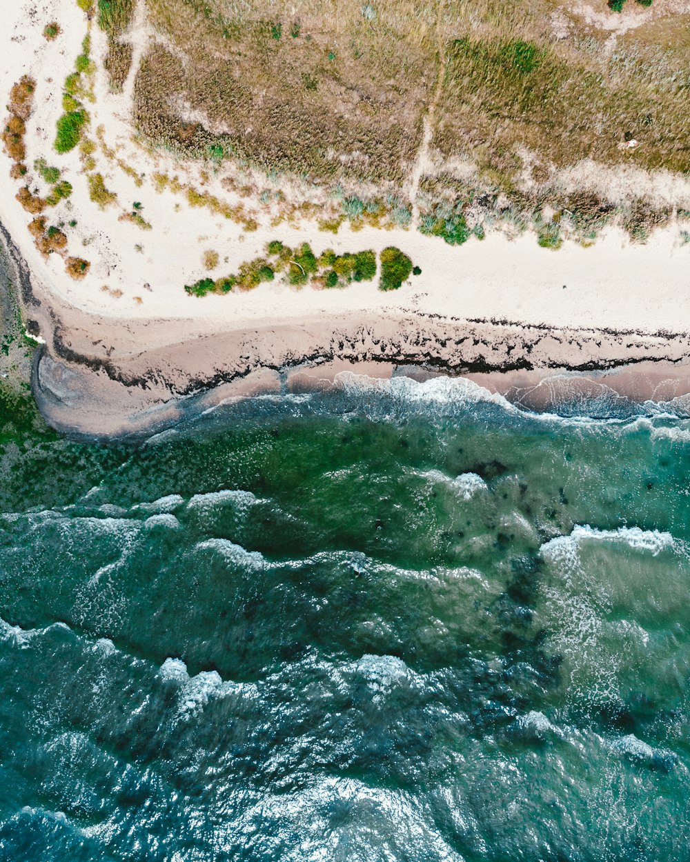 aerial view of white sand seashore