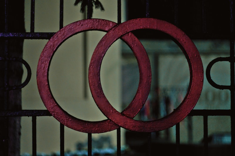 a close up of a metal gate with two rings