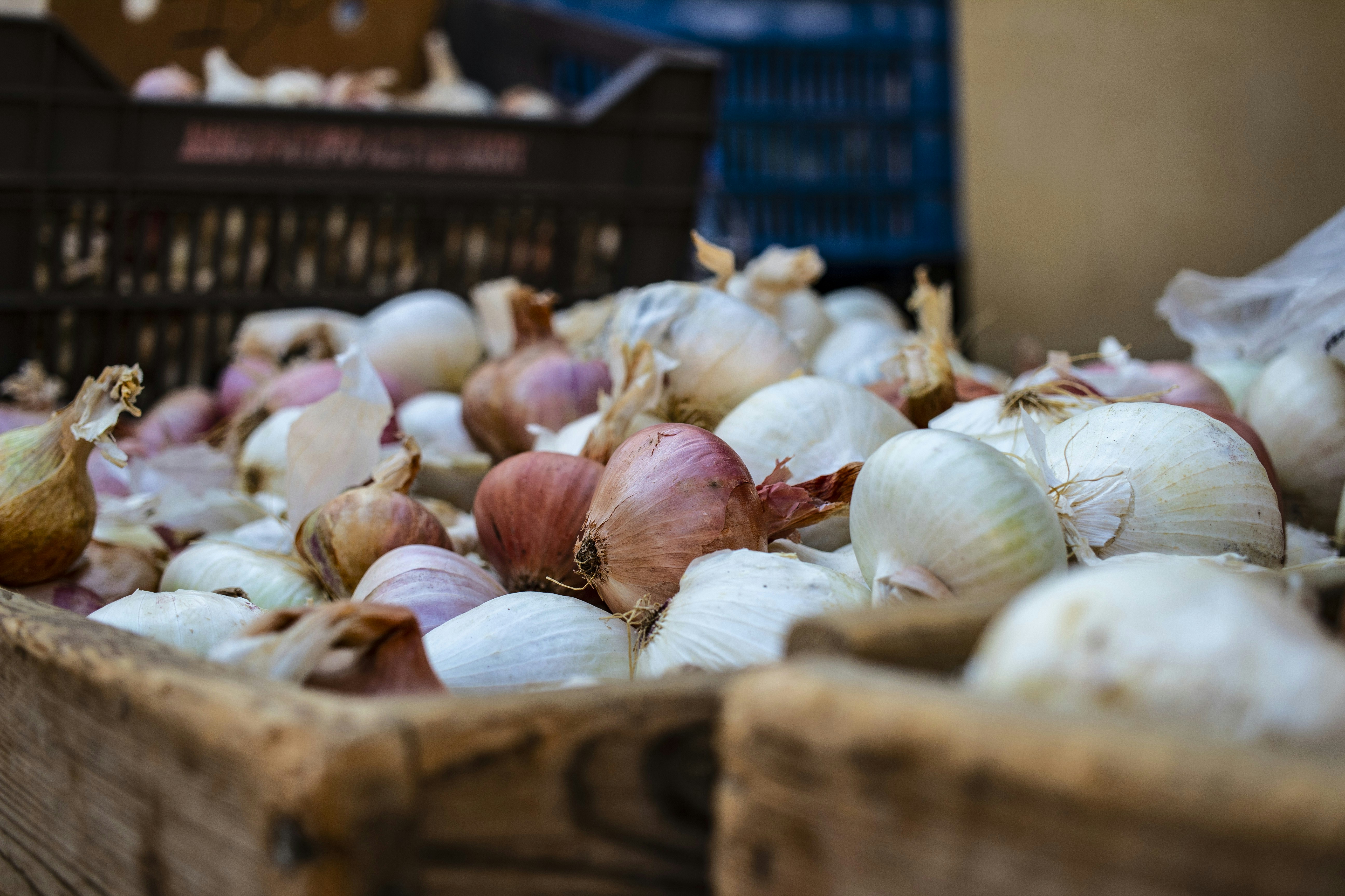 Photo by supardisign