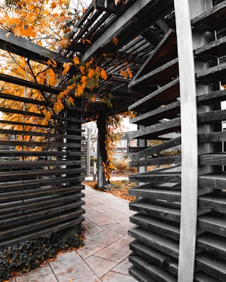 A wooden pergola structure with a pathway beneath, surrounded by autumn leaves in vibrant orange hues. The scene is framed by horizontal wooden slats, creating an intricate pattern. The pathway is paved, and some fallen leaves are scattered on the ground.