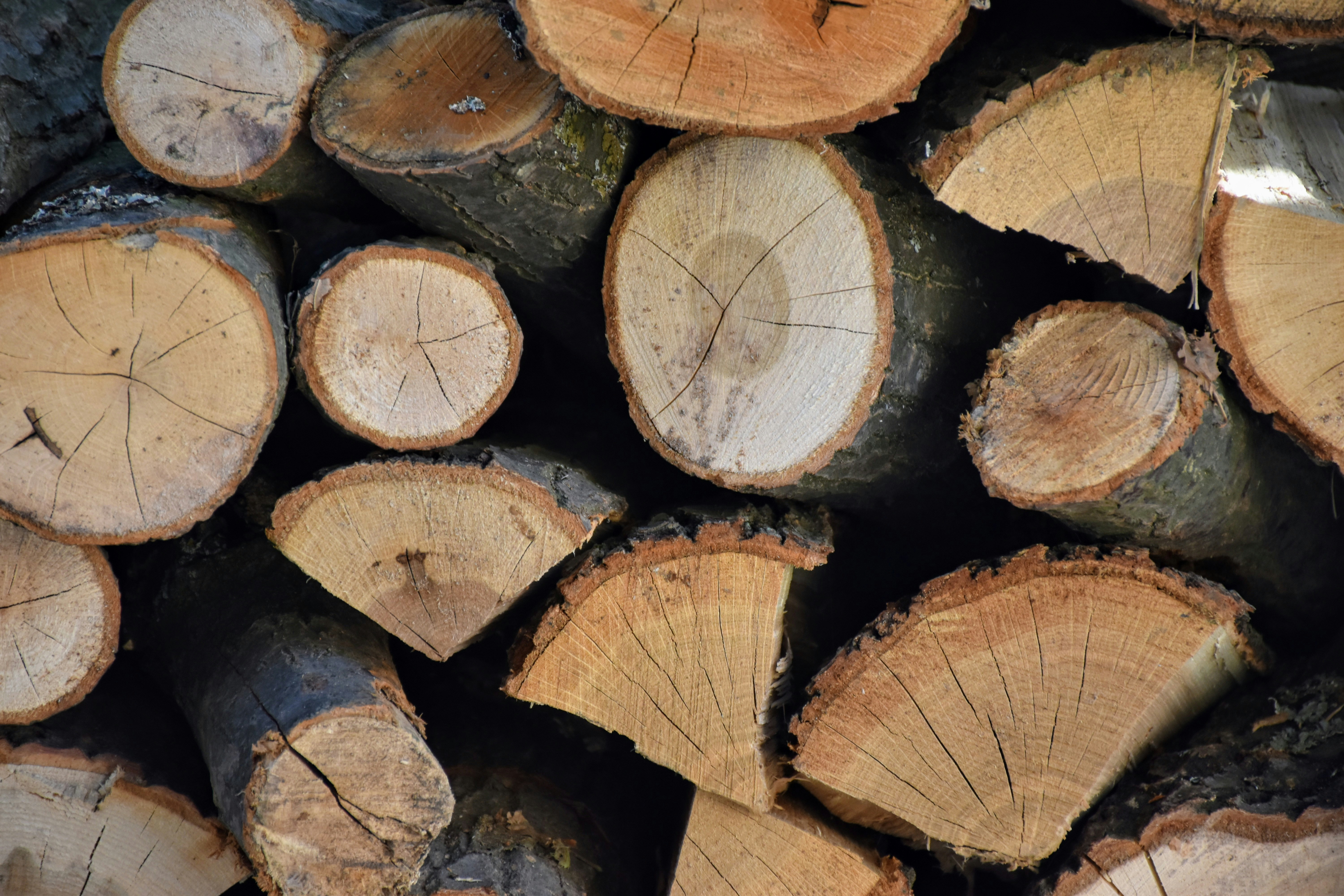 Photo by bobajaglicic