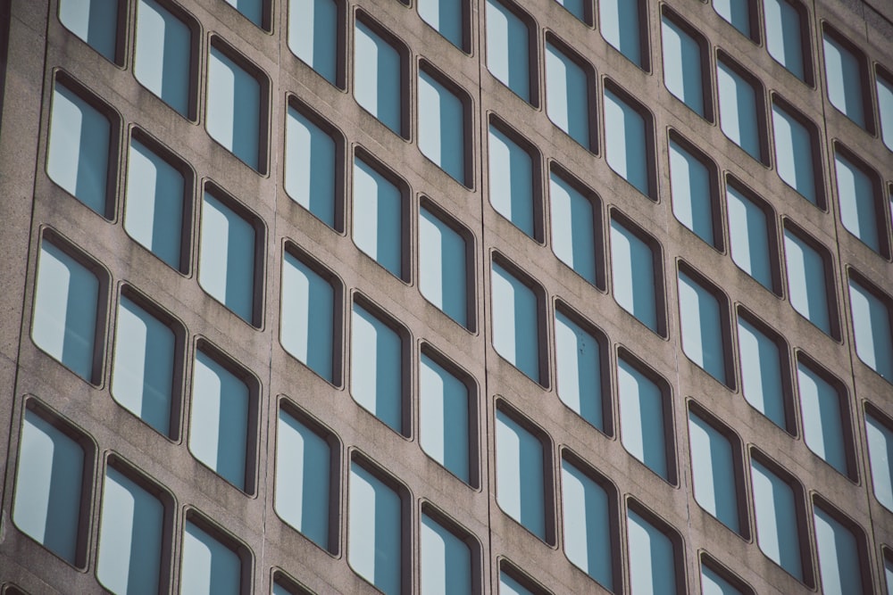 brown and white building