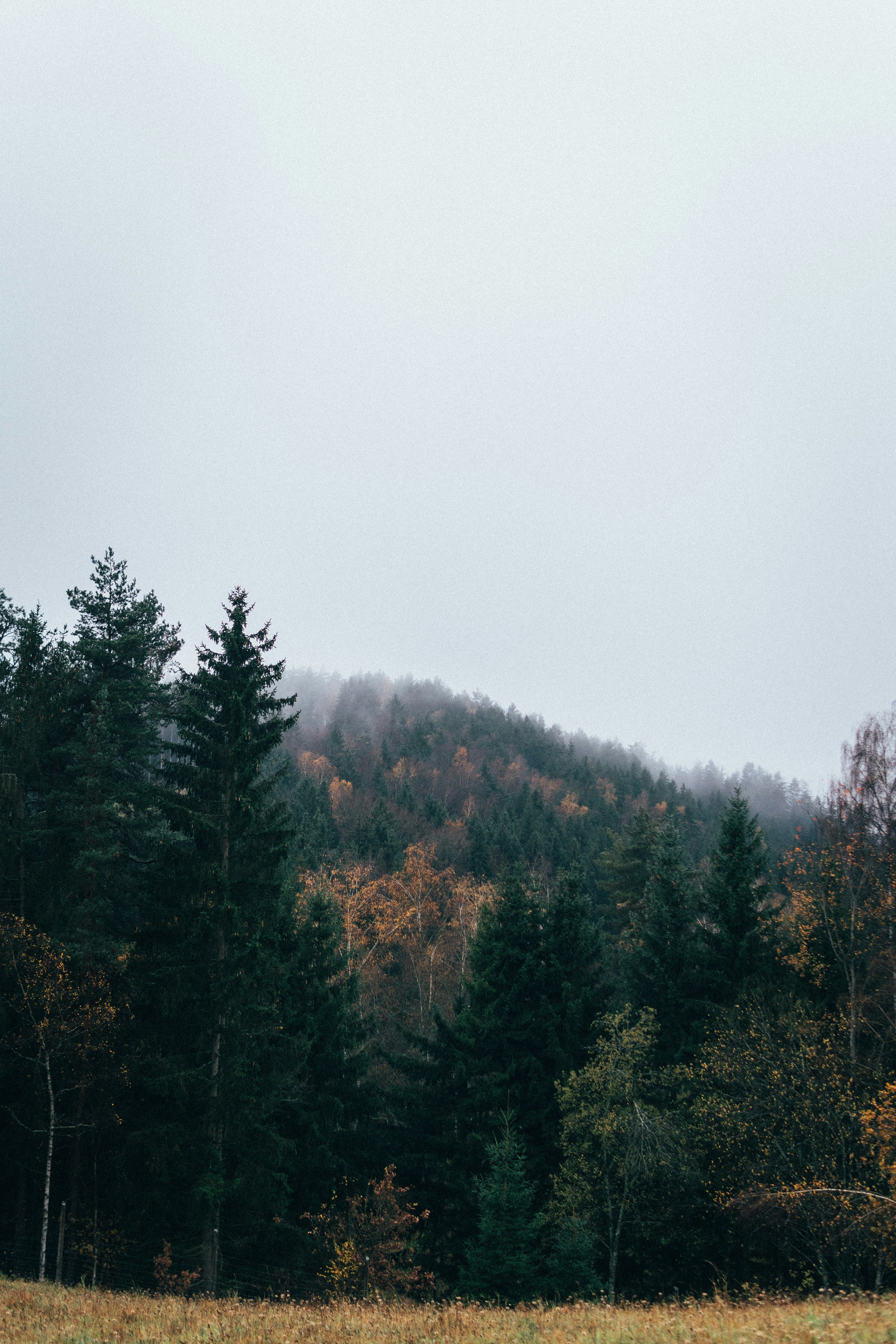 Photo by benjamin_raffetseder