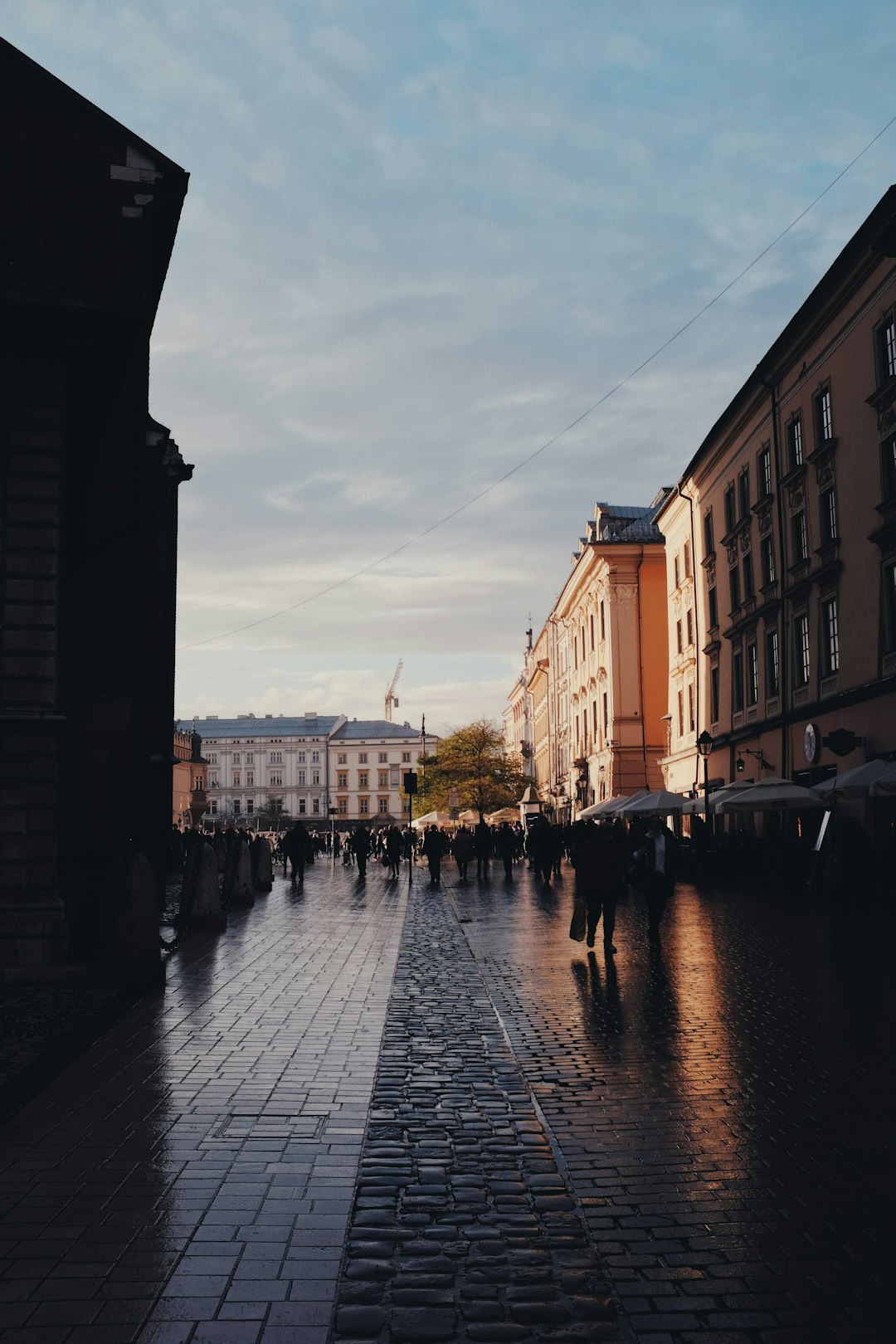 people walking by the streets