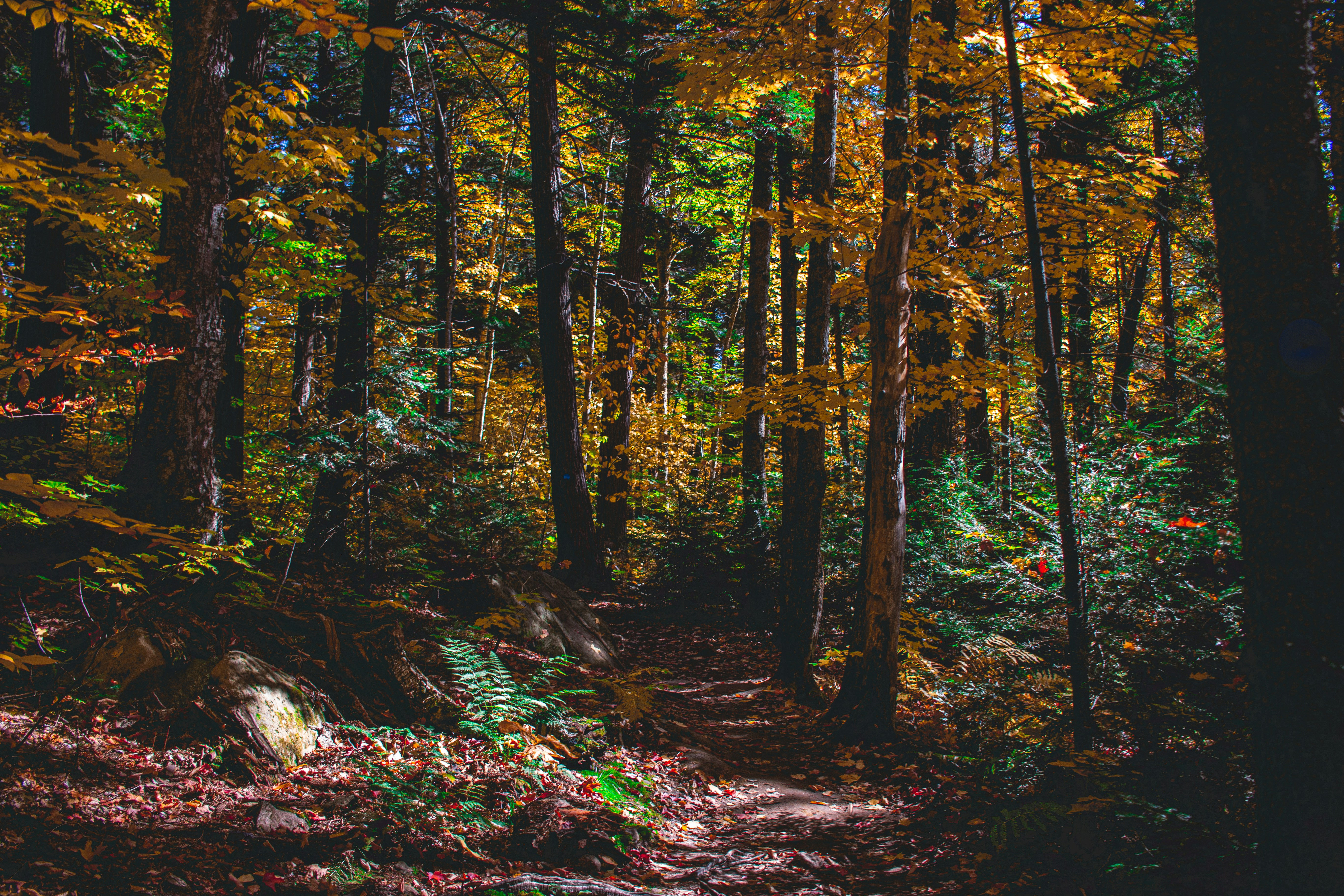 Photo by son_of_media