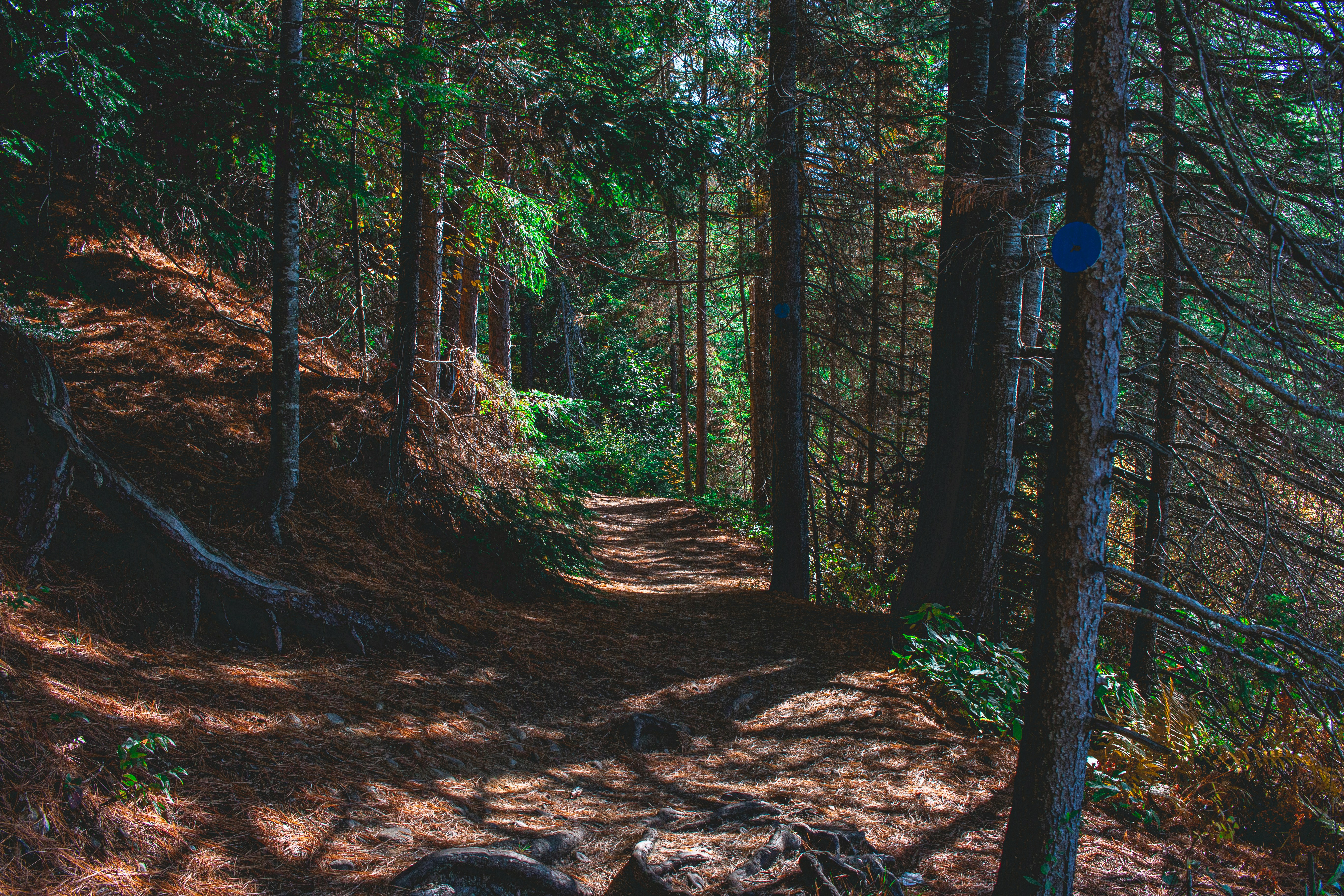 Photo by son_of_media