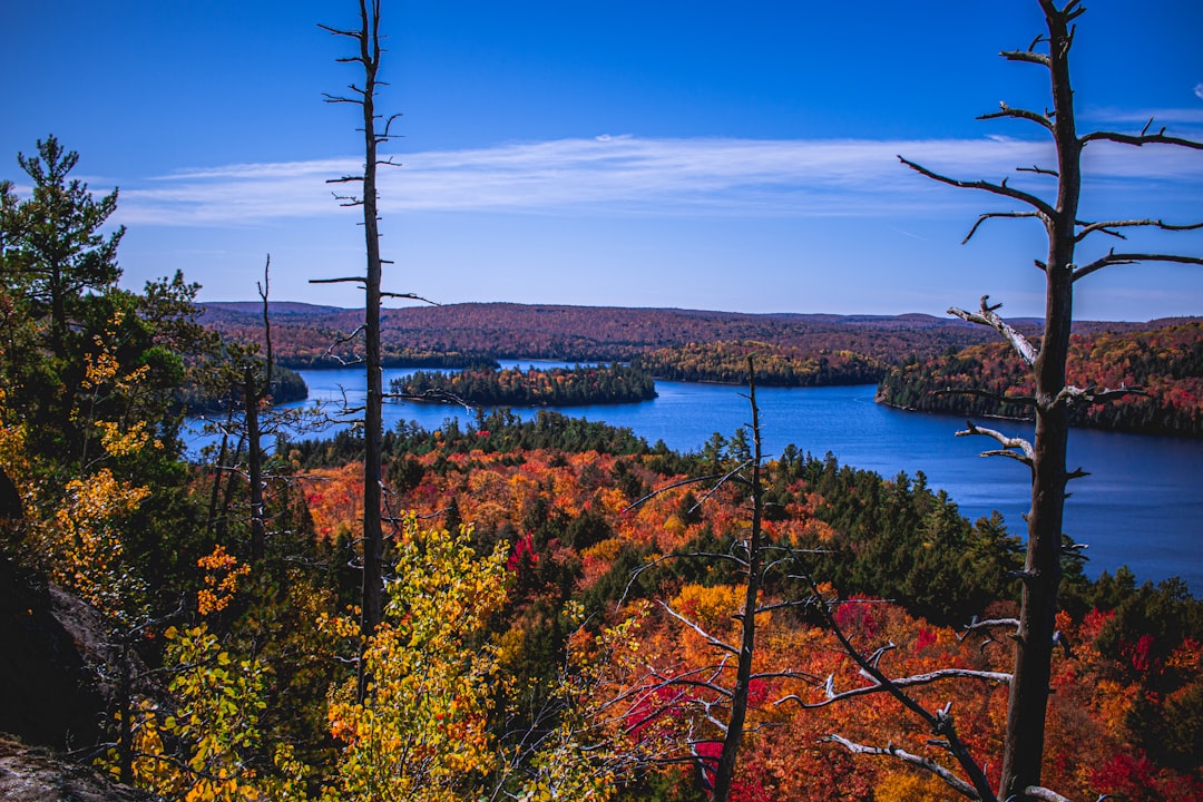 Nature reserve photo spot Algonquin Park Sundridge