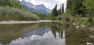 A quiet stream reflecting the surrounding forest under a calm sky.
