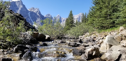 A serene Colorado mountain stream winding through aspen groves under a clear sky.