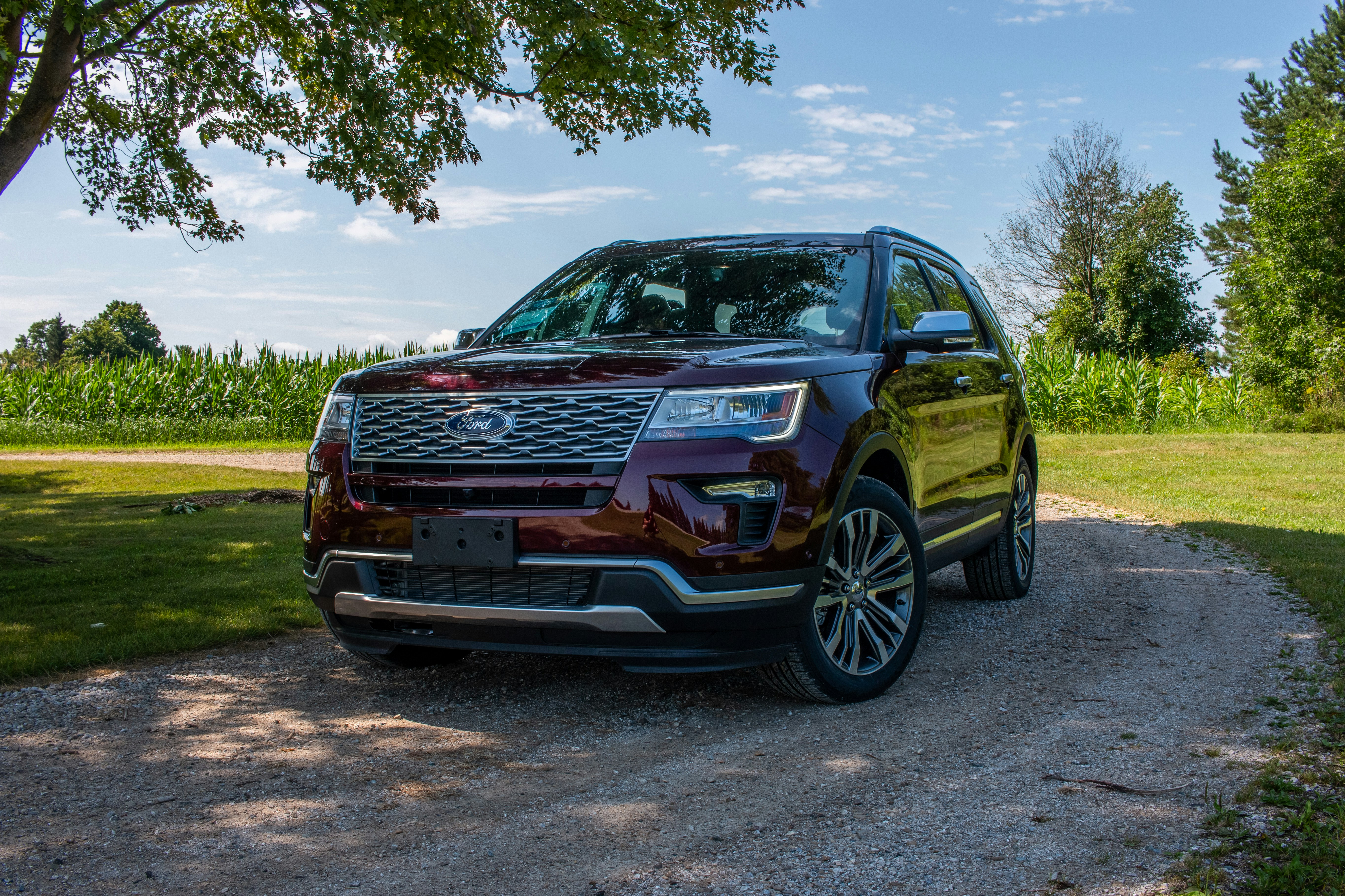 Photo by son_of_media