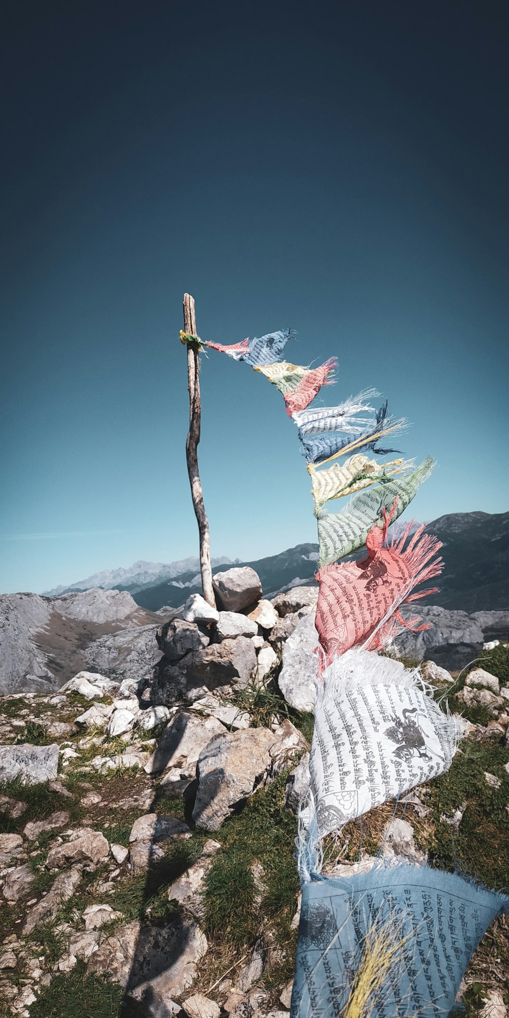 assorted-color textiles blown by wind