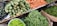 A vibrant assortment of fresh vegetables is displayed on shelves at a market. The arrangement includes carrots, green beans, spiny gourds, eggplants, and green chili peppers, all neatly organized in baskets or piles.
