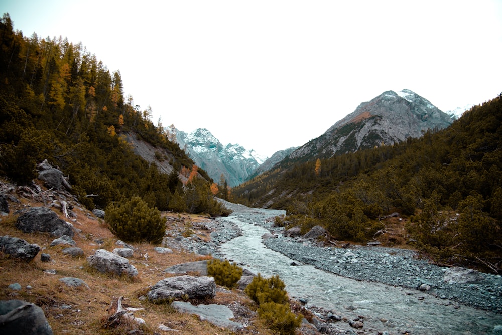 wide angle photo of river and mountain