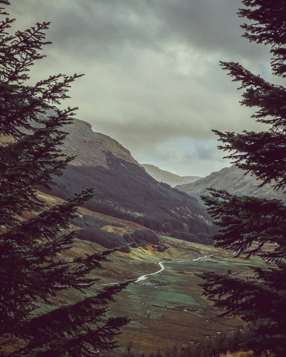 wide angle photo of mountain