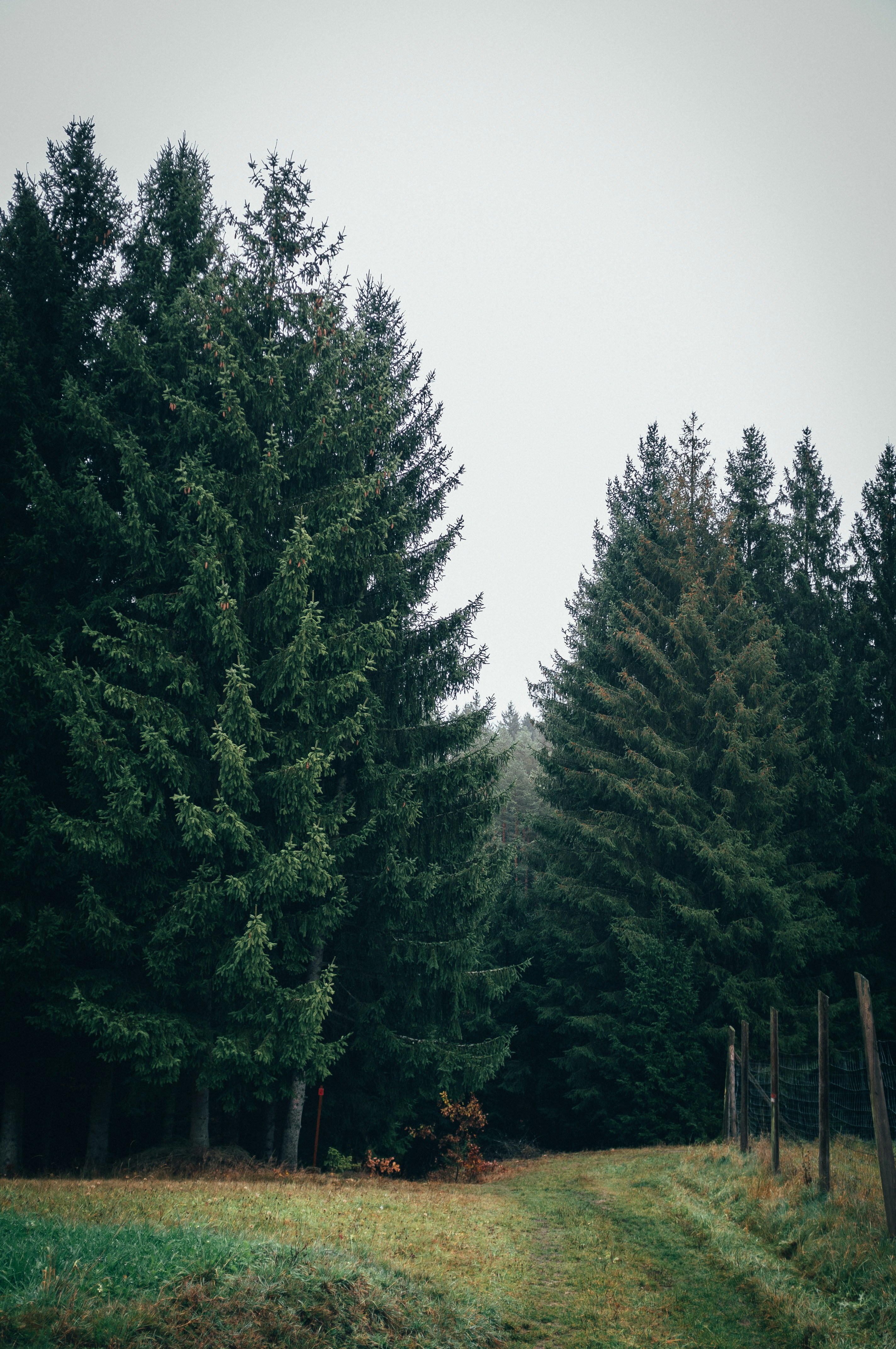 Photo by benjamin_raffetseder
