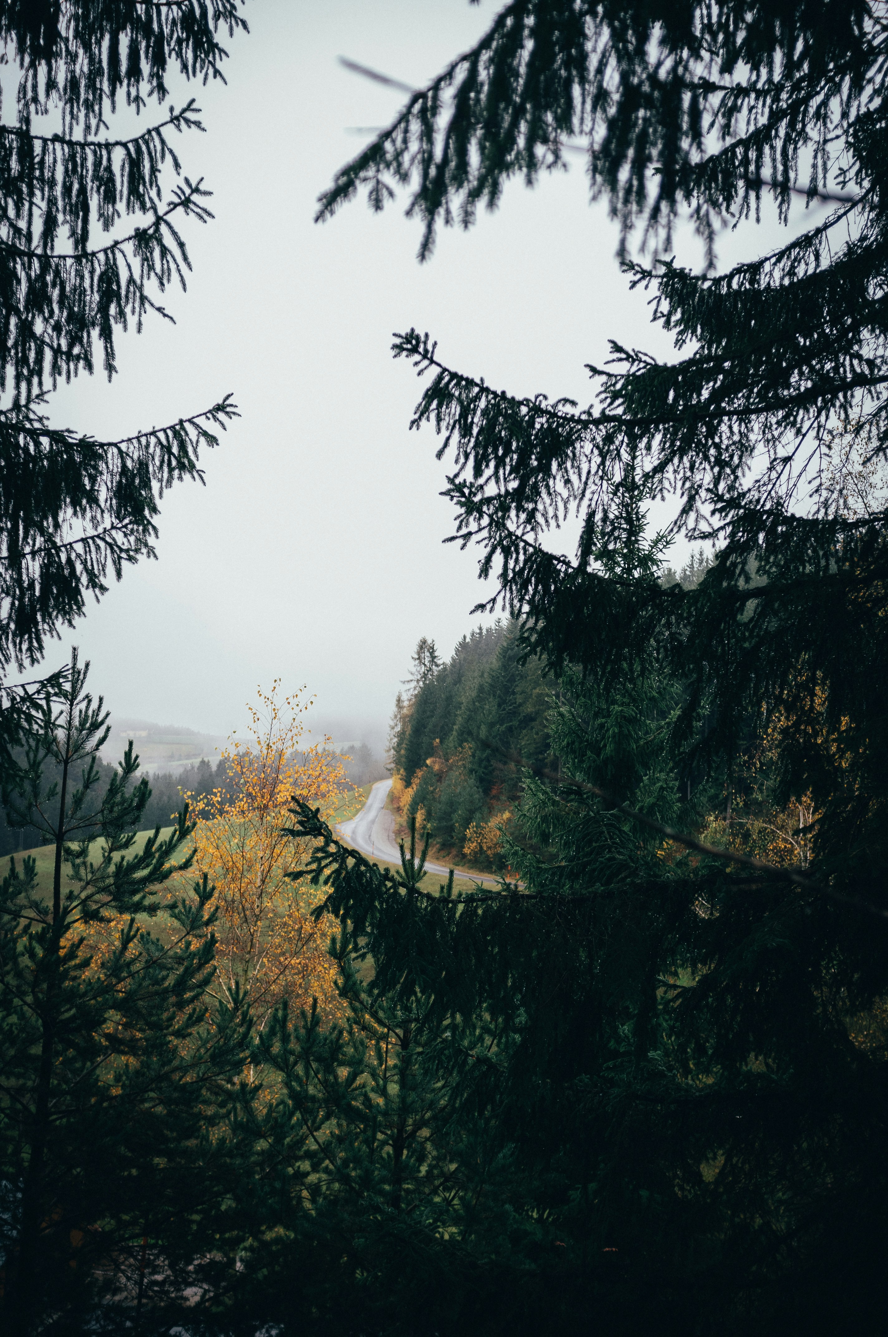 Photo by benjamin_raffetseder