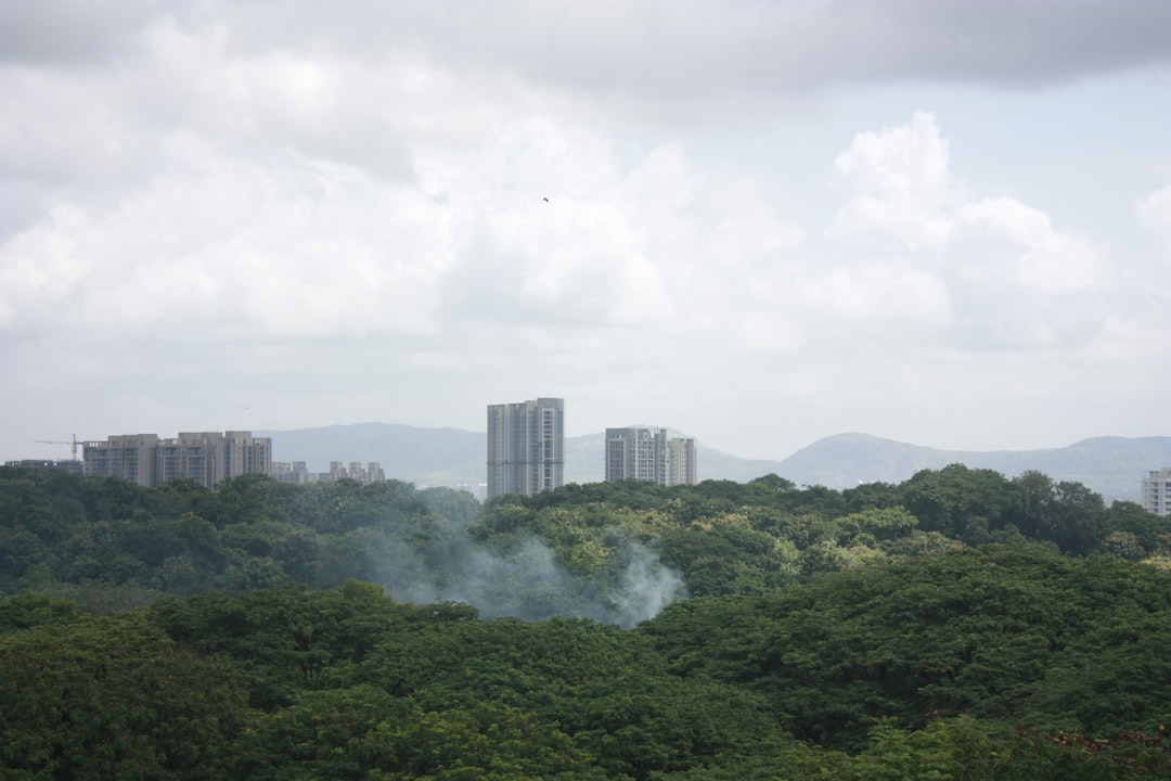 Jungle photo spot Mumbai India