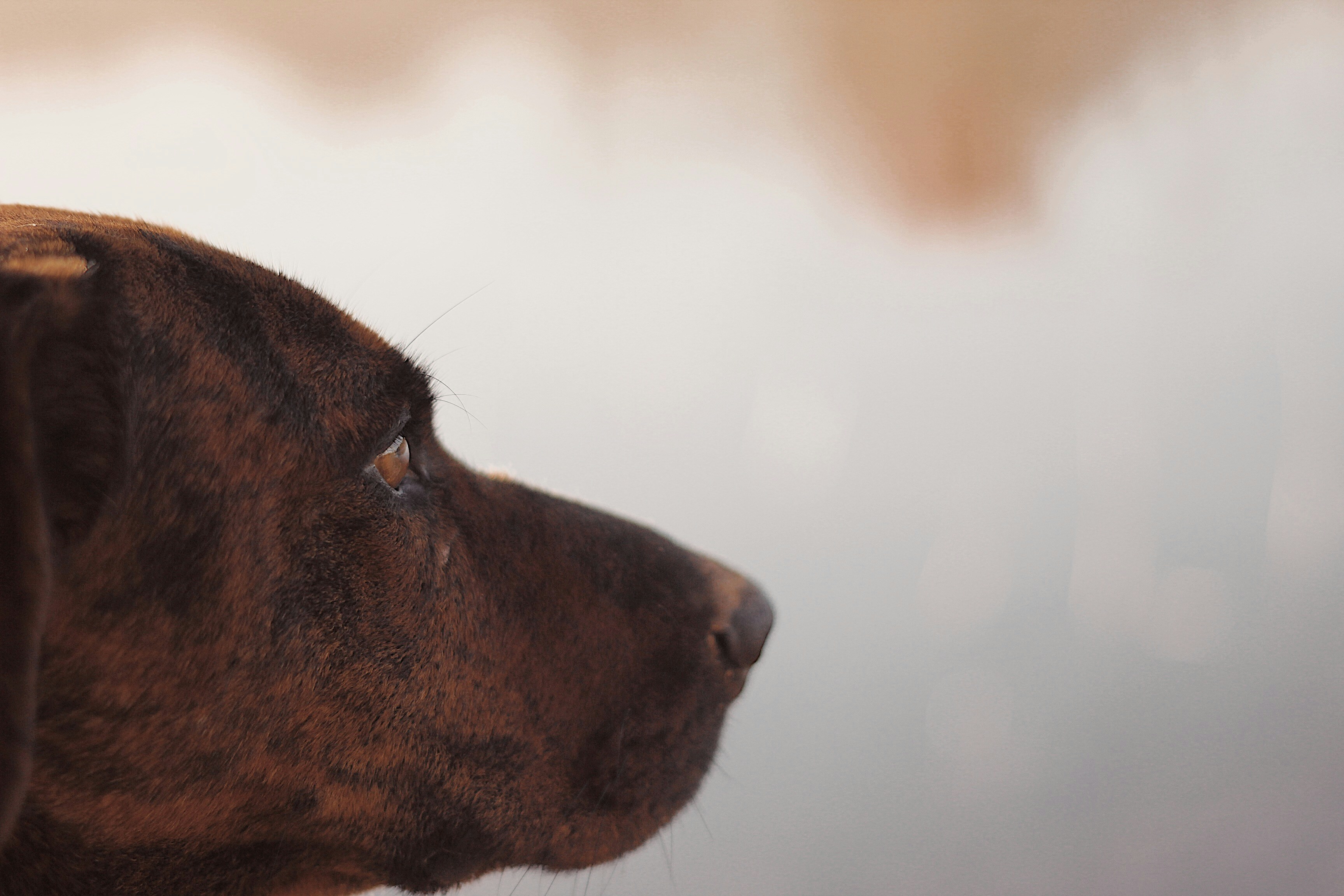 Photo by greg_keelen