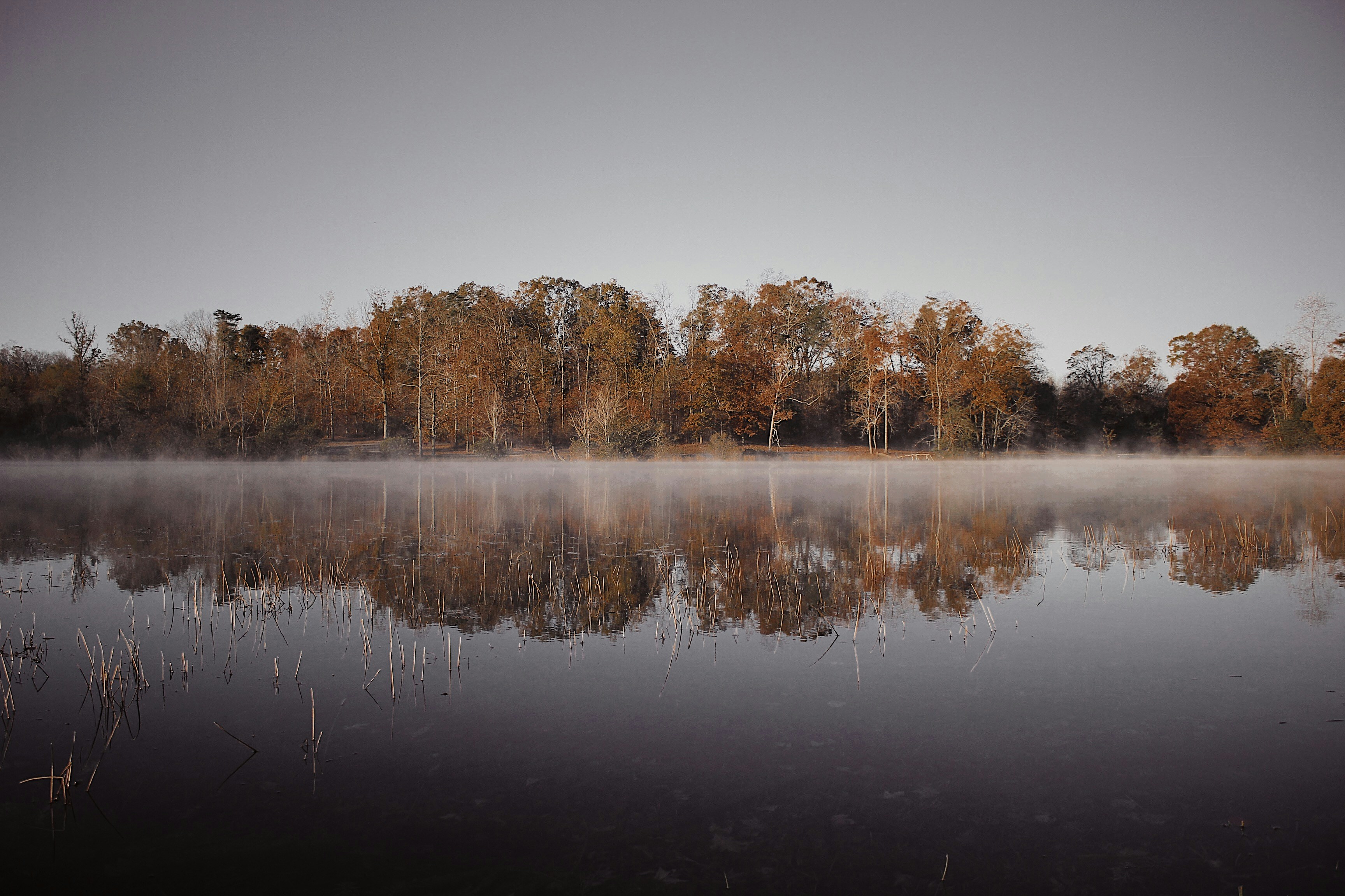 Photo by greg_keelen