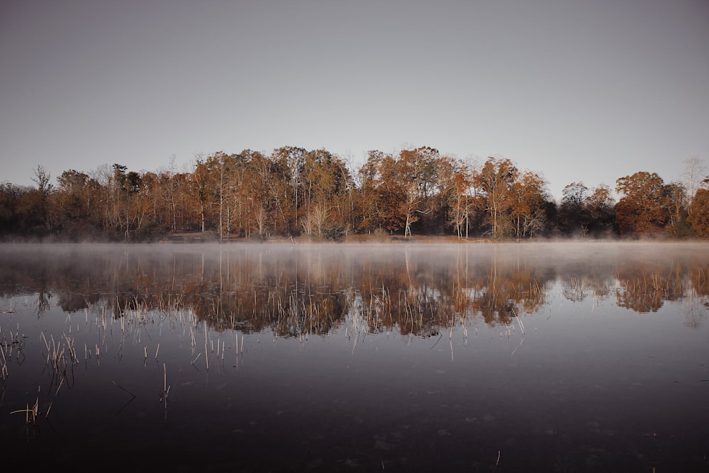 wide angle photo of lake