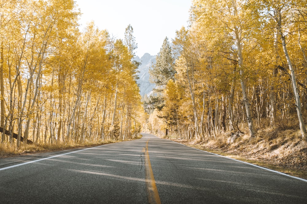 gray concrete road