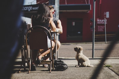 white puppy best google meet background