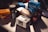 A collection of vintage film photography equipment including various boxes and rolls of film, an Olympus film camera, and film canisters. The brands visible include Kodak, Fujicolor, Ilford, and CineStill, and they are placed on a table with subdued lighting.