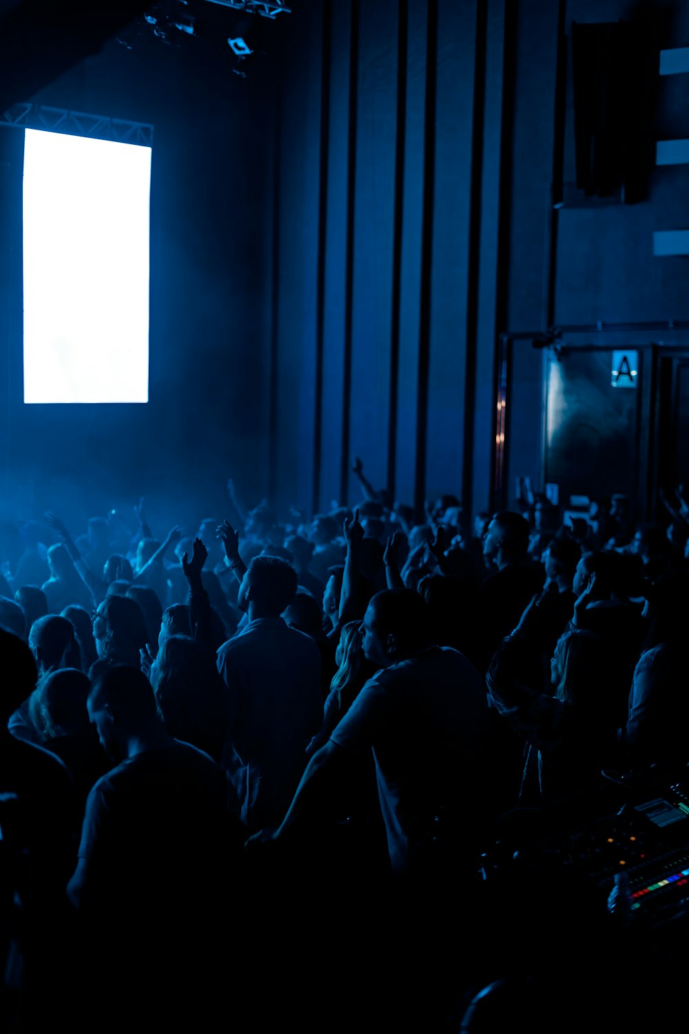 grupo de personas viendo concierto