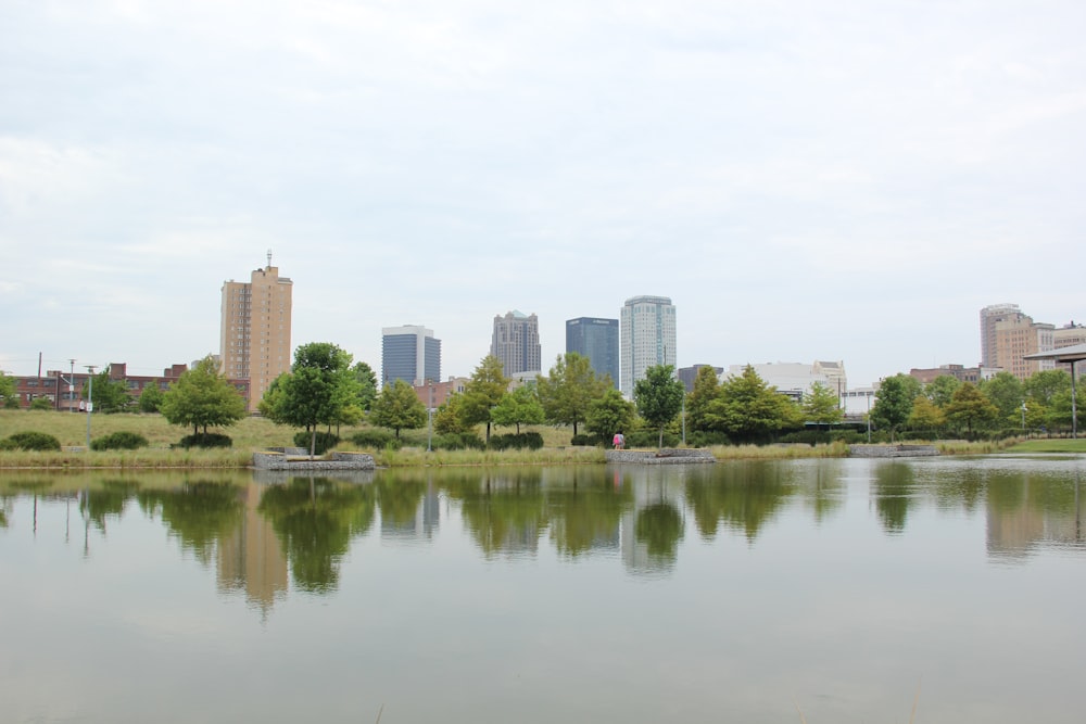 wide angle photo of city