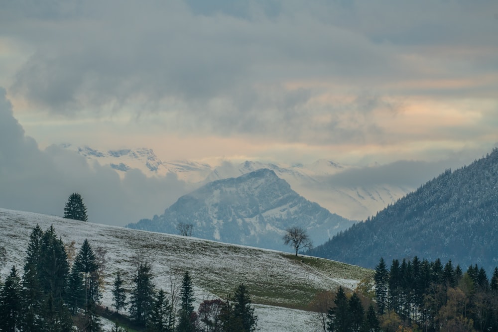 high angle photo of mountain