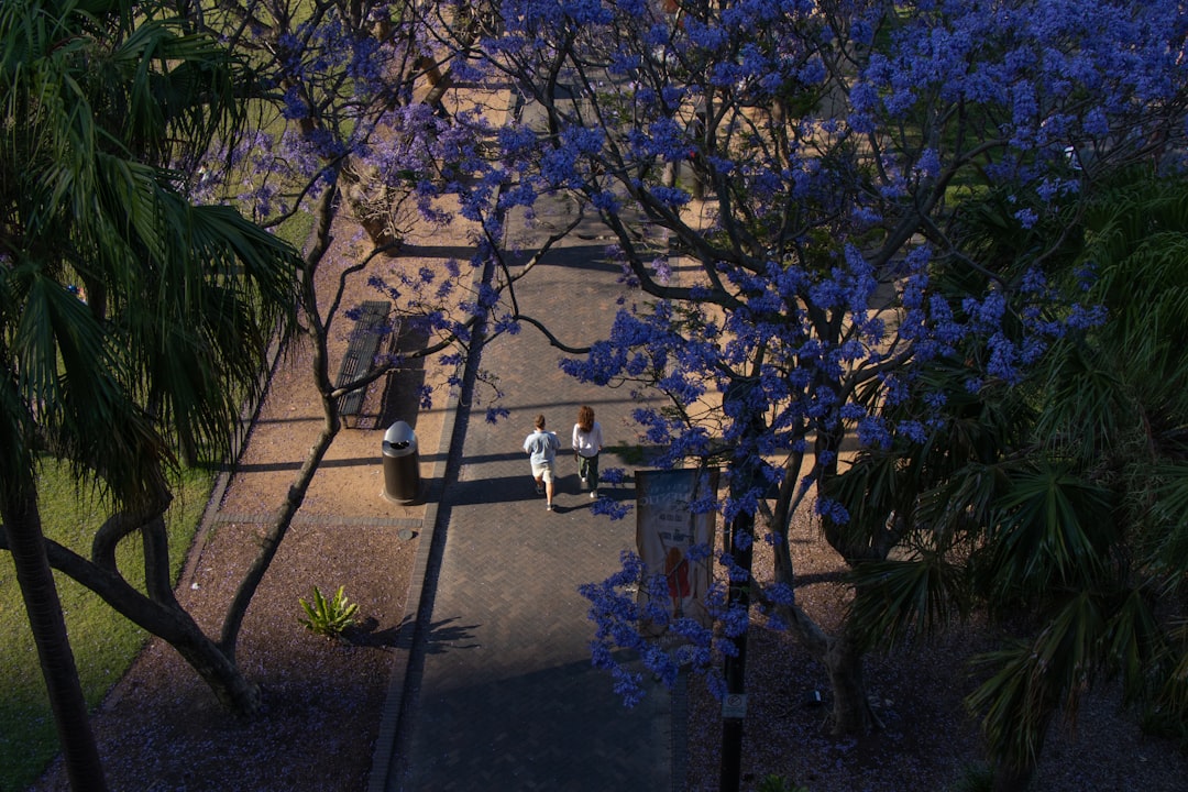 high-angle photography of man and woman walking beside each other