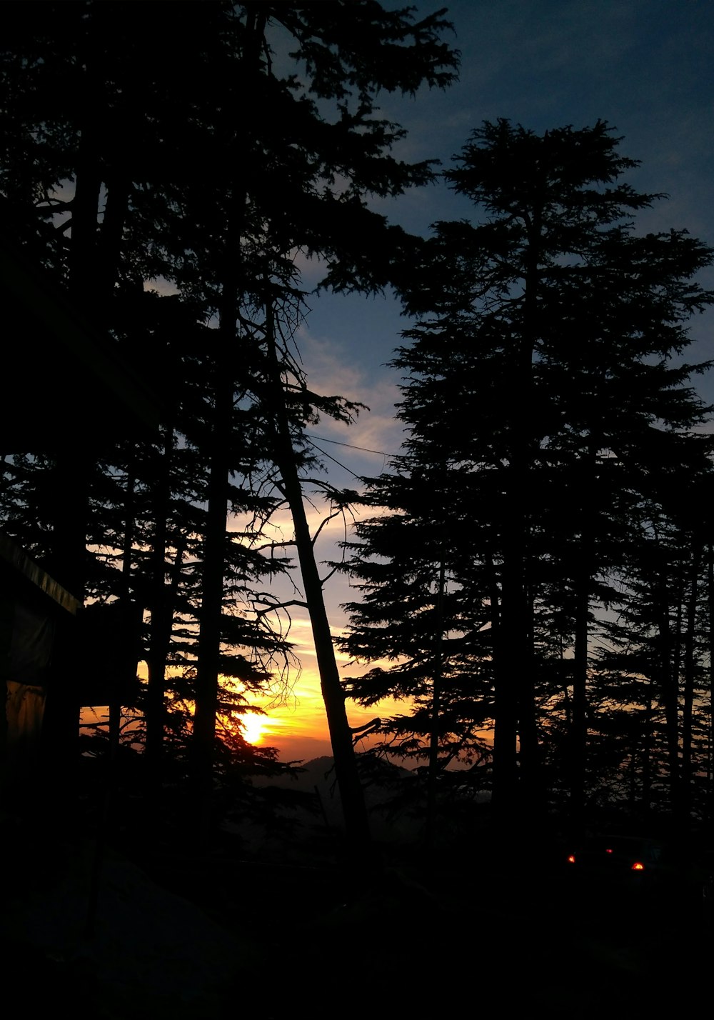 silhouette photography of green-leafed trees