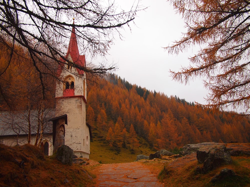 white and red concrete tower near green-leafed trees